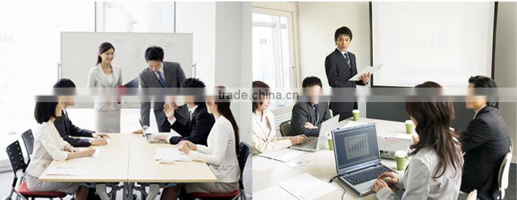 High quality hot sale chinese insect killer spray with factory price