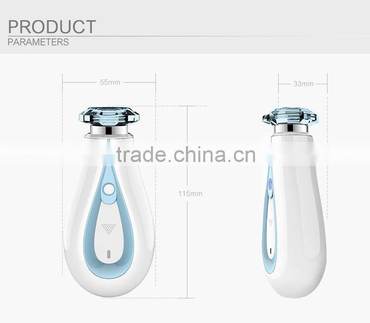 Mini Facial Nano Sprayer USB Rechargeable Portable Lonic Facial Face Steamer