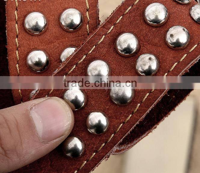 Western Pet Cat Puppy Bling steel Dog Collars Factory Large Size