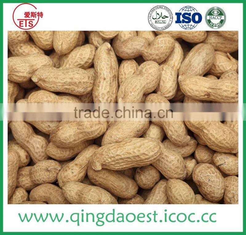 Blanched good quality peanut kernel in long and round type