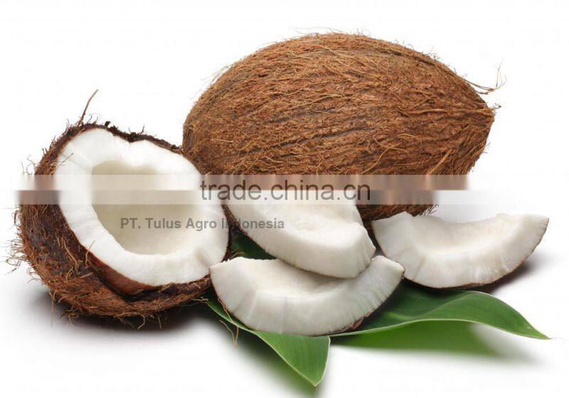 BEST Coco Fiber (Serabut Kelapa)- SALE PRICE!!