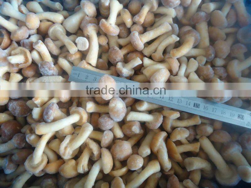 2015 high quality IQF Nameko