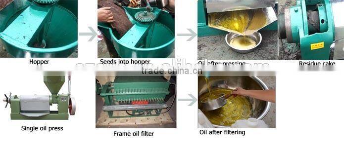 Single screw Oil presser Sunflower, soyabean, canola oil extraction machine