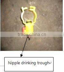 20 years of production history chicken cage for farm