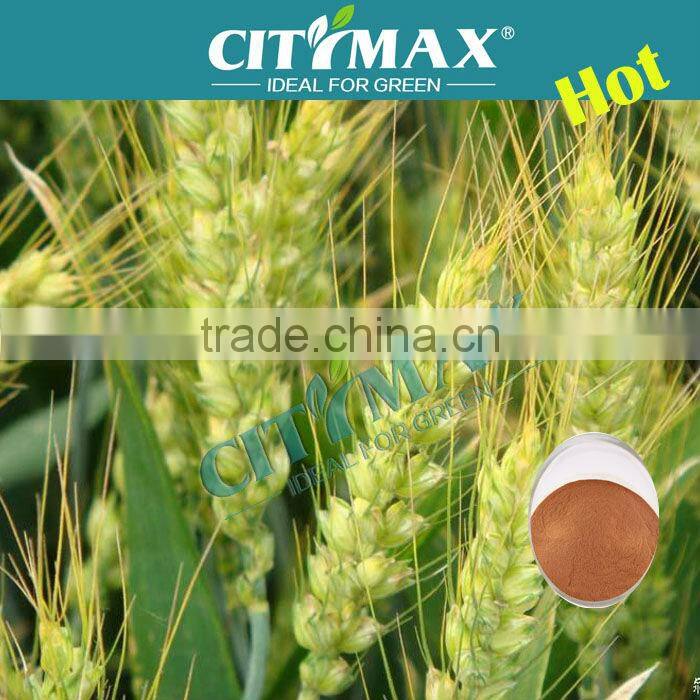 Fulvic Acid 95% Fertilizer Wholesalers