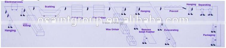 slaughterhouse equipment for chicken slaughterhouse processing