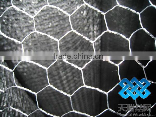 pvc coated/galvanized hexagonal wire mesh