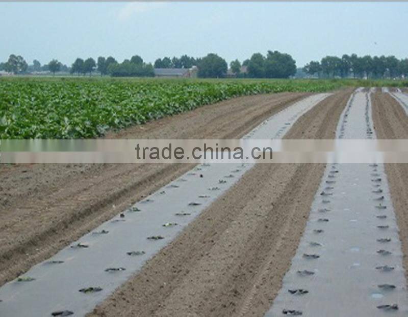 200 micron black mulch film, blow plastic mulch film, agriculture mulch film for sale