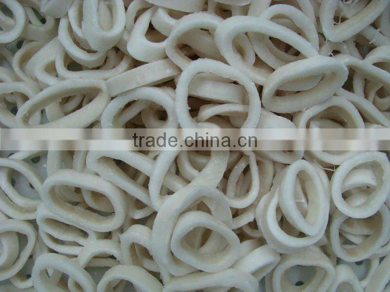 Calamari anello