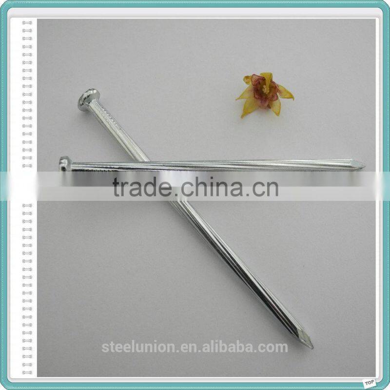 Hardened Steel Nails/Large Steel Nails/Concrete Nails China