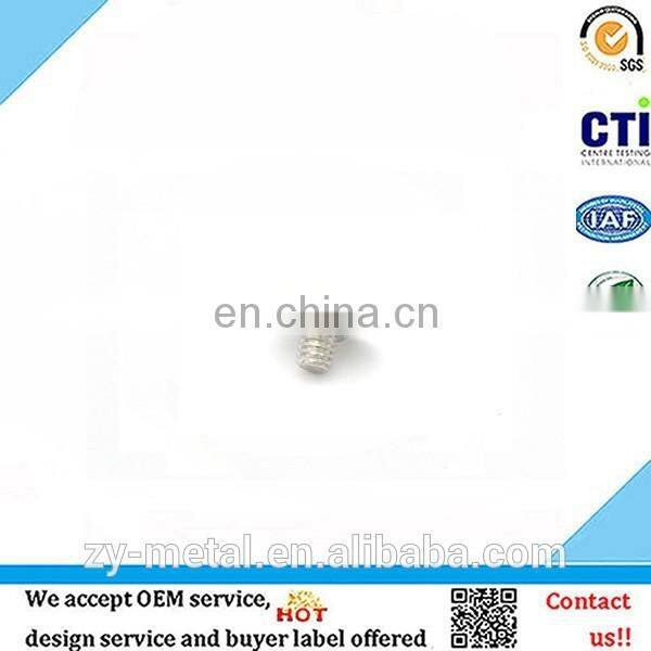 Customized special decorative iron screw button head self-tapping screw