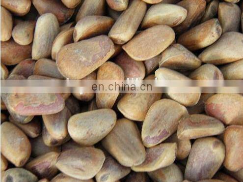 Best quality pine cone sheller with pine nut threshing machine Farm machinery thresher machine good automatic pine nut sheller