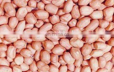 High efficiency peanuts roaster/coffee bean roaster/roasted peanut peeling machines