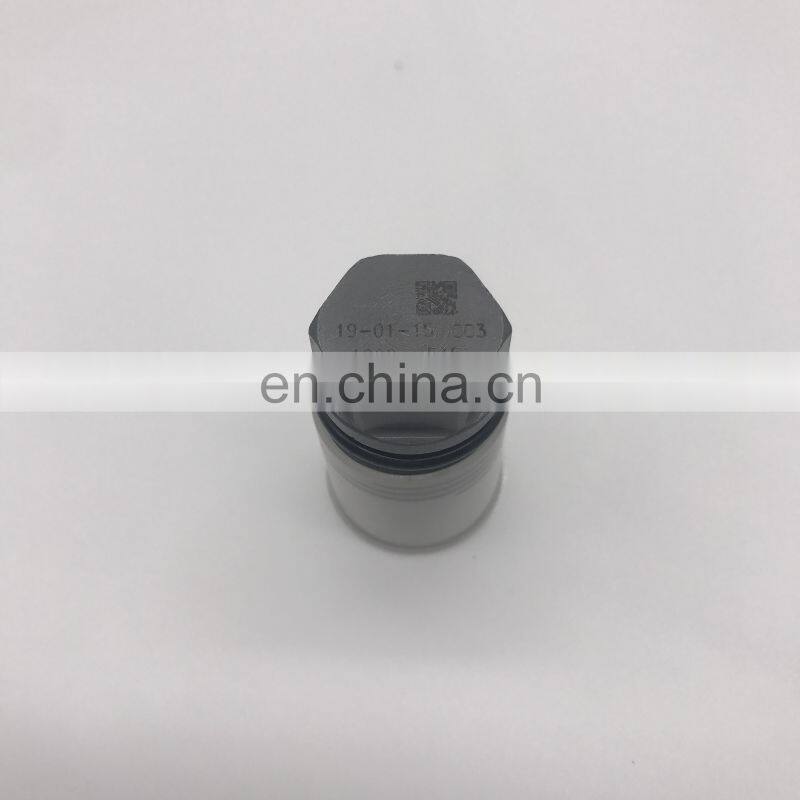 High quality pressure relief valve 1110010028