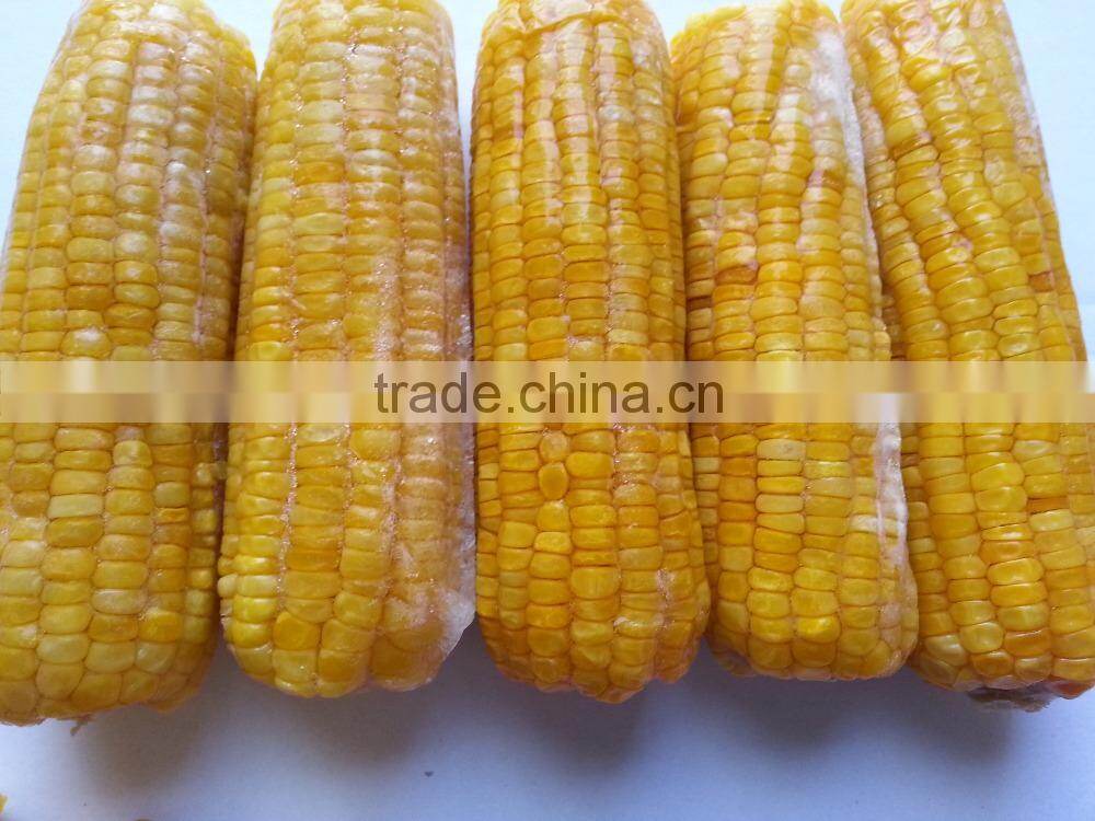 USA Frozen Yellow Sweet Corn Exporting Vietnam