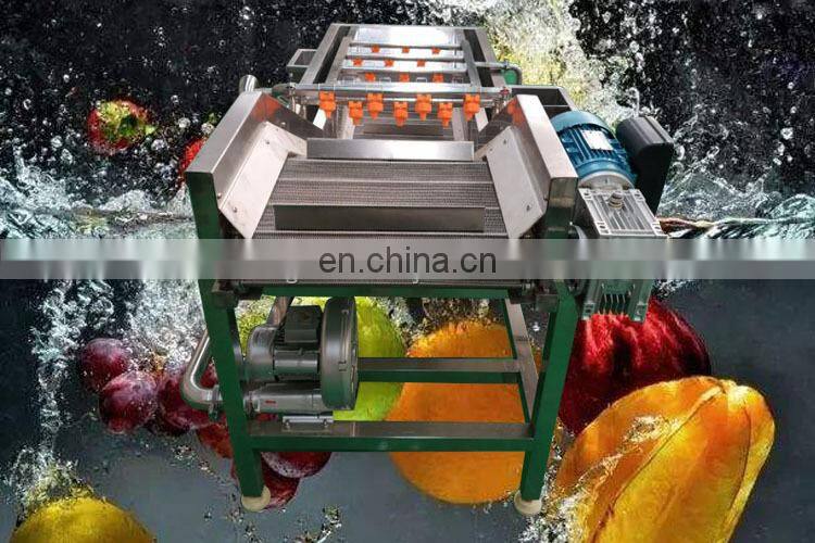 Commercial apple almond cleaning machine fruit washing machine for strawberry