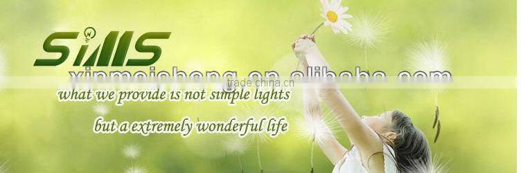 Superior 18w LED ceiling light indoor