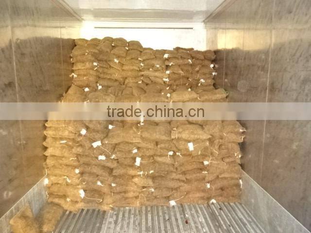 2015 crop Chinese Shandong origin fresh chestnut for export