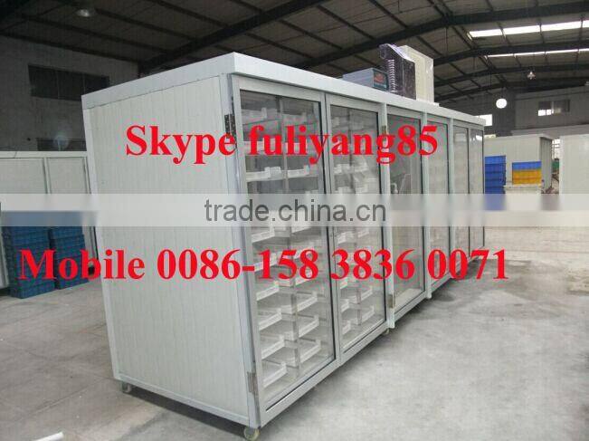 Hydroponic fodder for animal husbandry