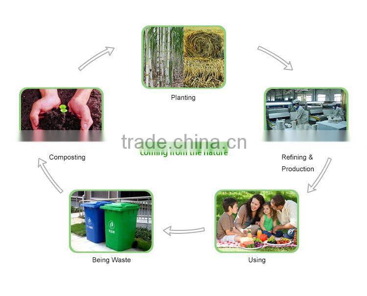 Disposable bio-degradable 450ML box with sugarcane pulp.