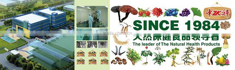 Tomato Extract Lycopene Capsule