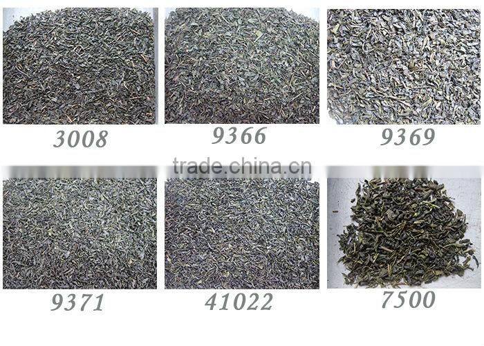 Hot selling 2015 chinese tea important