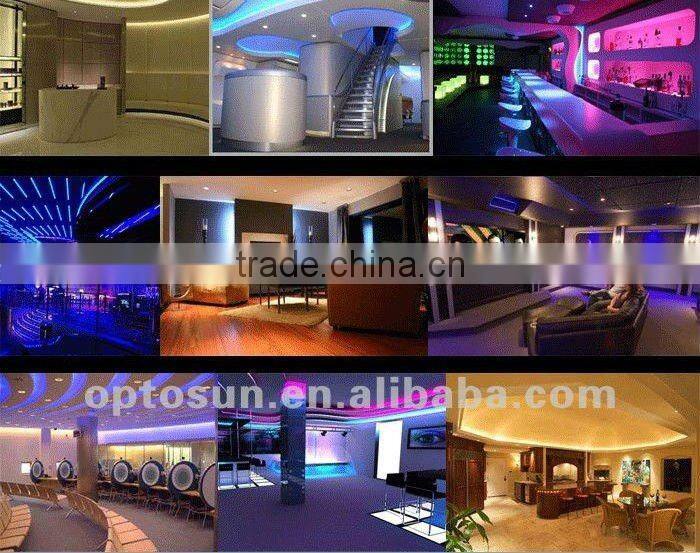 CE RoHS decoration Wateproof DC12V 24V AC120V 220V remote control led led rope light manufactures in china