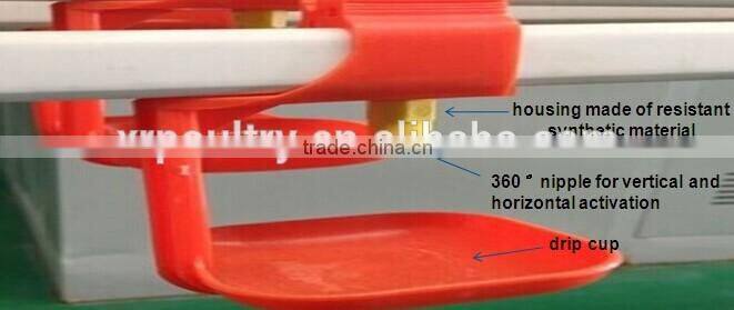 poultry farm ground raising chicken broiler equipment