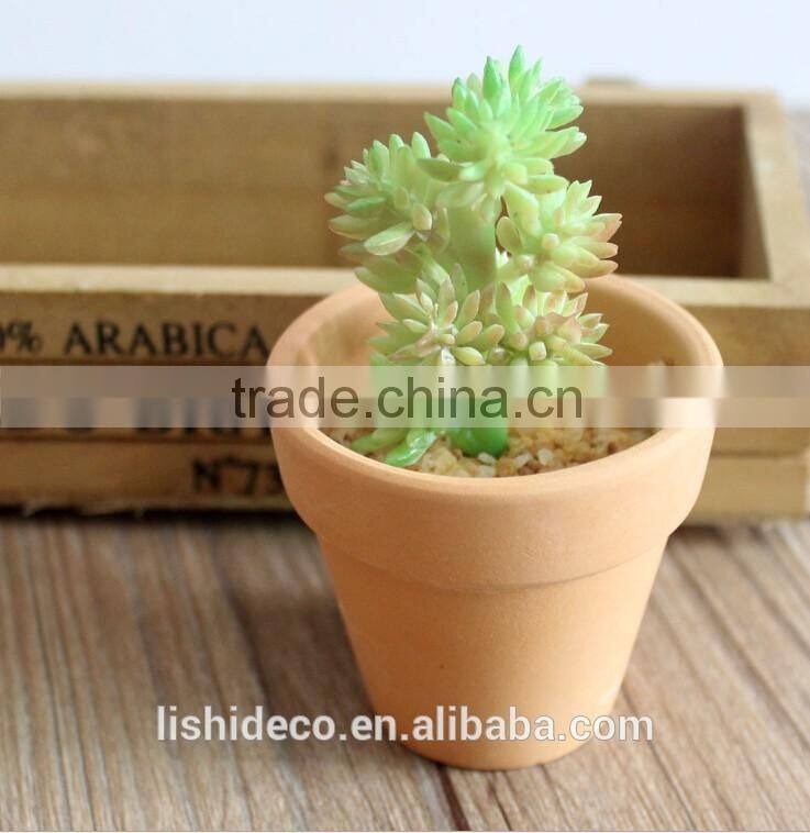 High Quality Artificial Succulent Plants Export Succulent Plants