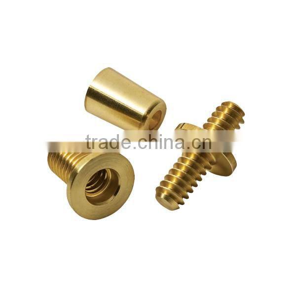 China supplier custom precision OEM CNC machining indexing plunger