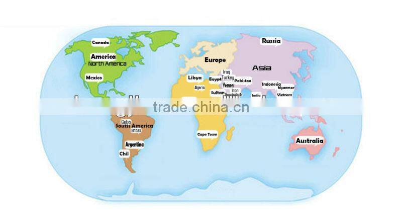 oil seal fuel injection assy diesel engine parts manufacturer