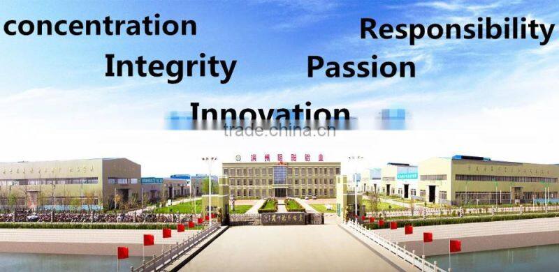 Wood-grain aluminium extrusin profile