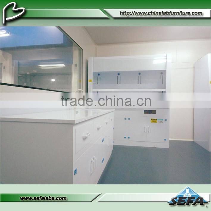 China Supplier School Laboratory Equipment PP Fume Hood