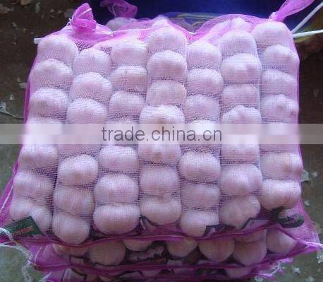 chinese new crop fresh garlic