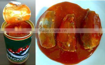 inexpensive 425g packing seafood canned sardines in tomato sauce