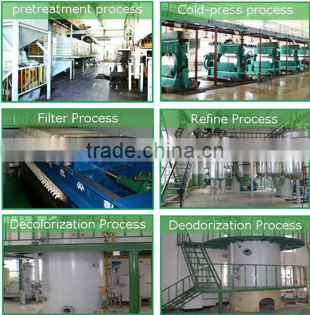 100% nature and pure flaxseed oil