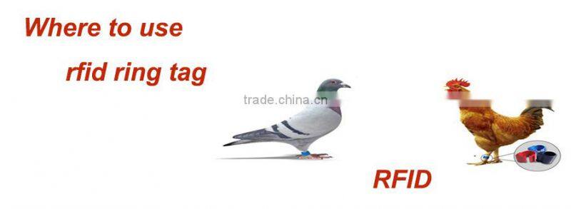 Hot Sell Plastic RFID Lf/Hf/UHF Pigeon Foot Tag for Animal Racing Tracking