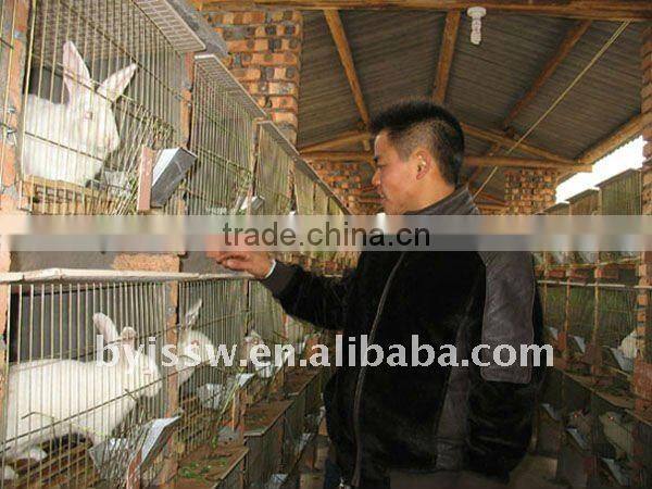 Rabbit Farming Cages For Sale