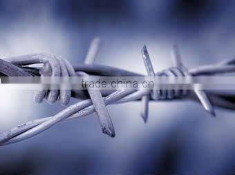 electro galvanized barbed wire anlida wire mesh manufacturer ISO9001