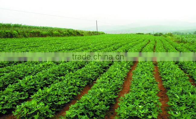 Hand push Peanut Seeding Machine