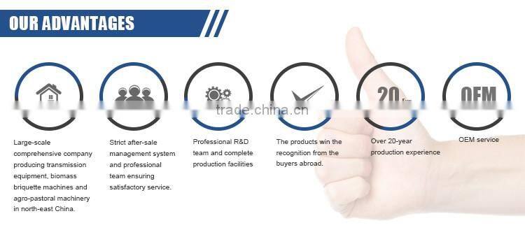 HZCK900M Series Sawdust Briquette Charcoal Making machine