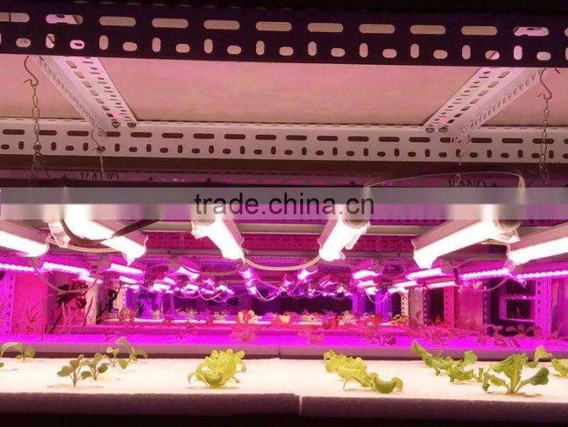 10W led bar lamp hydroponic grow light system for growing lettuce pepper 2ft