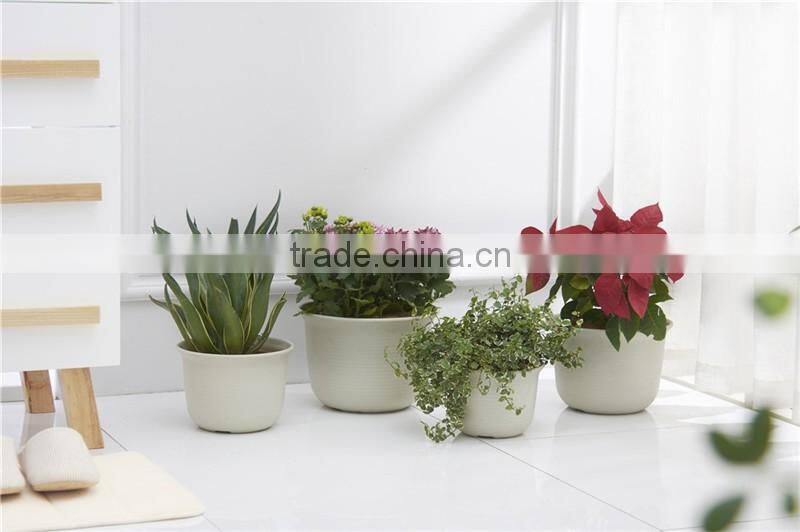 Plastic Round succulent Plant Pot/Cactus Plant Pot Flower Container