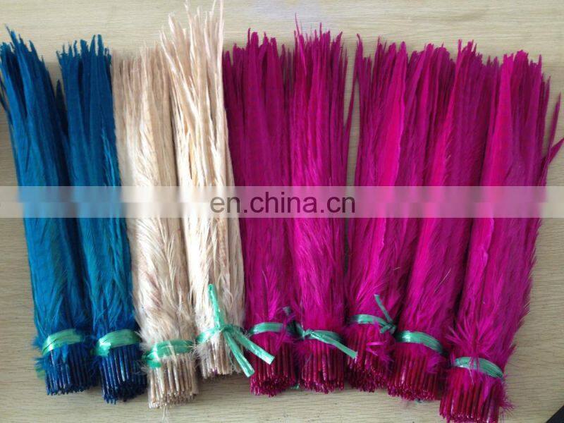 white color ringneck pheasant feathers