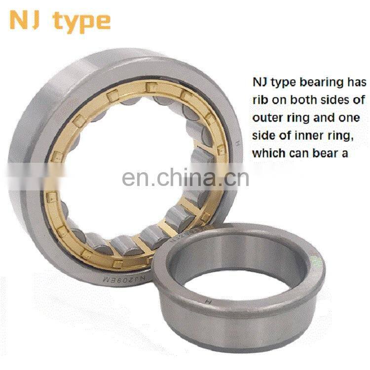 Hot Selling Factory Price Silver NU216 Double Row Cylindrical Roller Bearing Carbon RN309