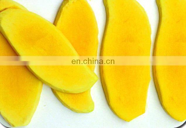 2015 hot sale Stainless steel foodstuffs factory mango cutting machine mango slicing machine