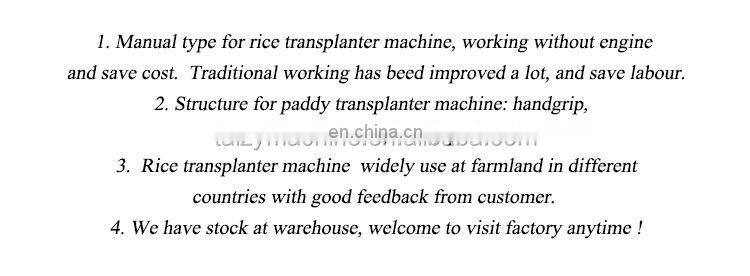 Hand Cranked Paddy Planter 2 Row Philippines Seed Manual Philippine Rice Transplanter For Sale With Price