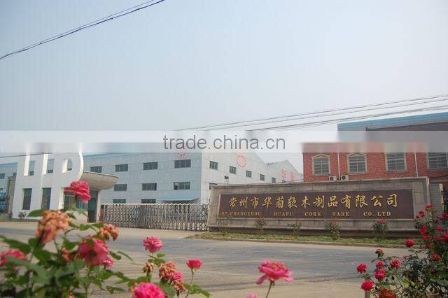 Cork Whistler Tea Pot White