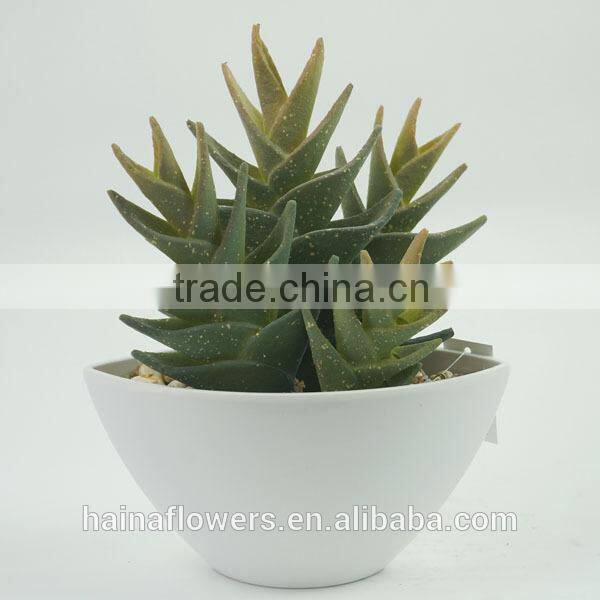 cheap wholesale artificial bonsai artificial cactus for decoraton