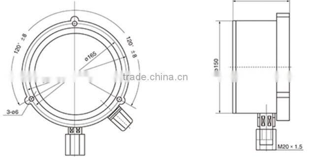 Differential pressure gauge